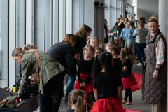 DM Showdance