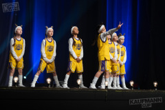 Mini Coops