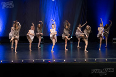 All Stars Freedom