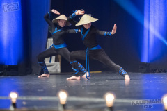 The Ninjas