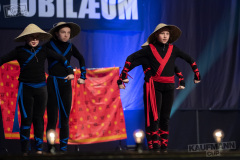 The Ninjas